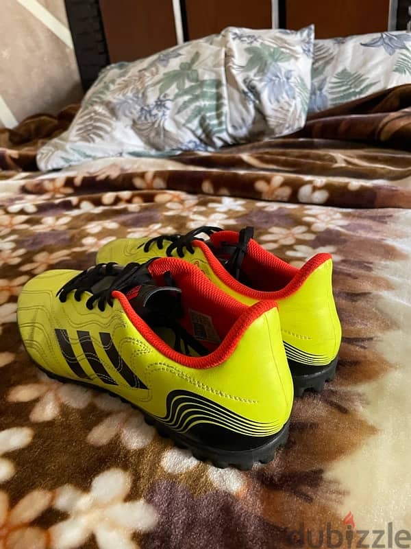 adidas copa (فيسفوري) 1