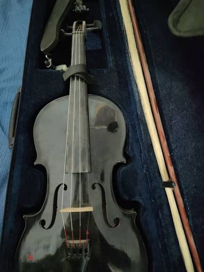 violin