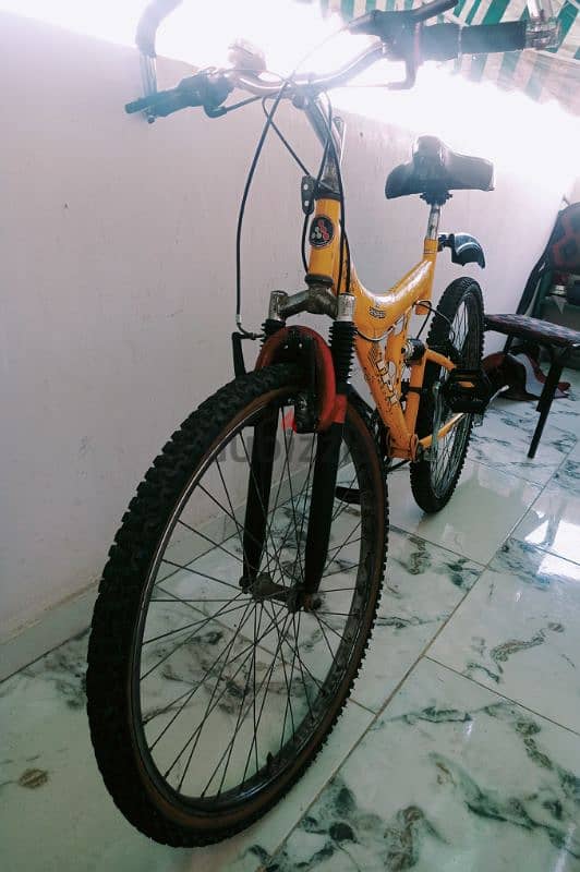 TPT BIKE 4