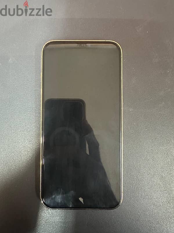 iPhone 12 Pro Max colour gold 5