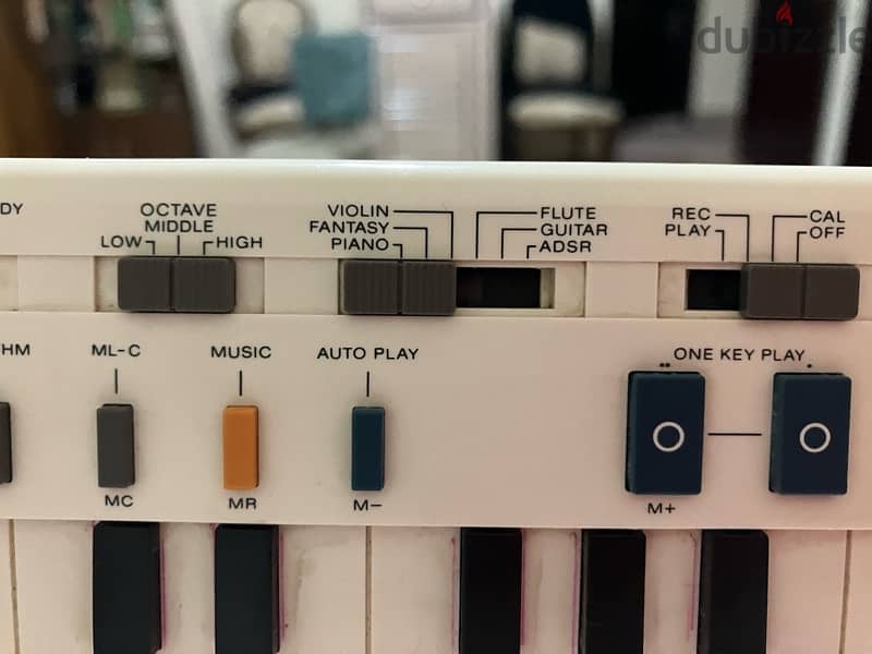 Electronic Musical Instrument VL- 1 4