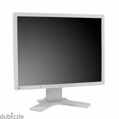 EIZO FlexScan S2100 Color LCD Monitor 21.3 Inch