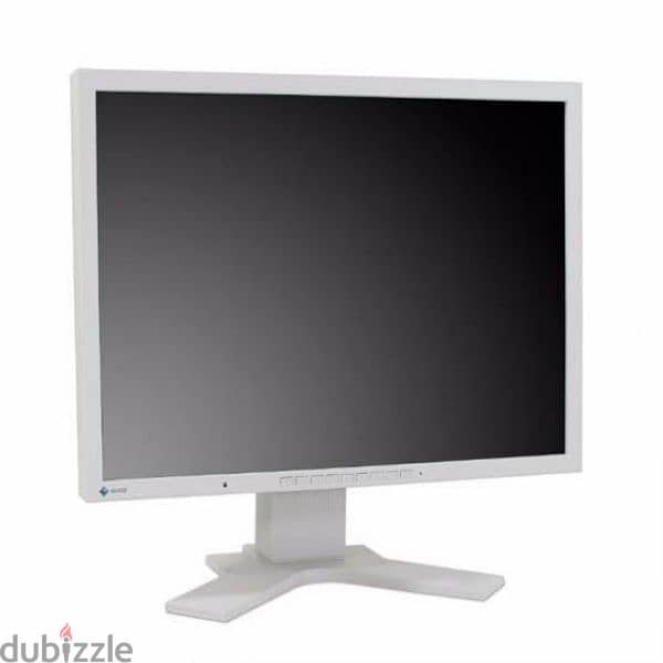 EIZO FlexScan S2100 Color LCD Monitor 21.3 Inch 0