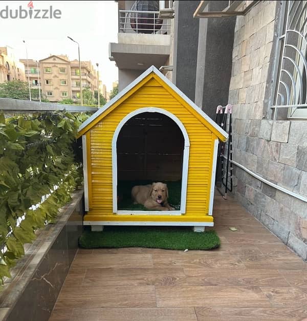 منزل كلب كبير- Dog house 0