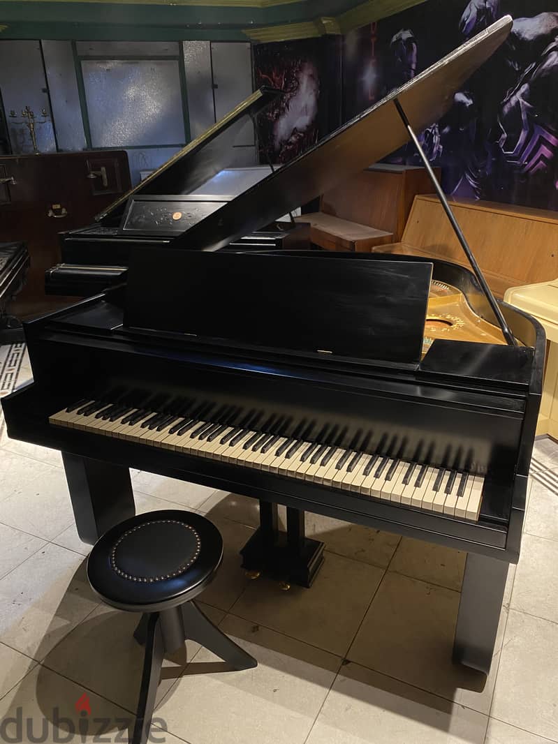 Professional grand piano 1