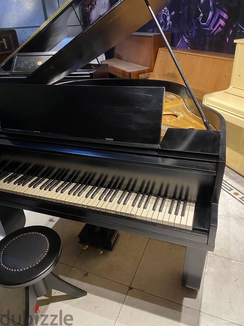 Professional grand piano 2