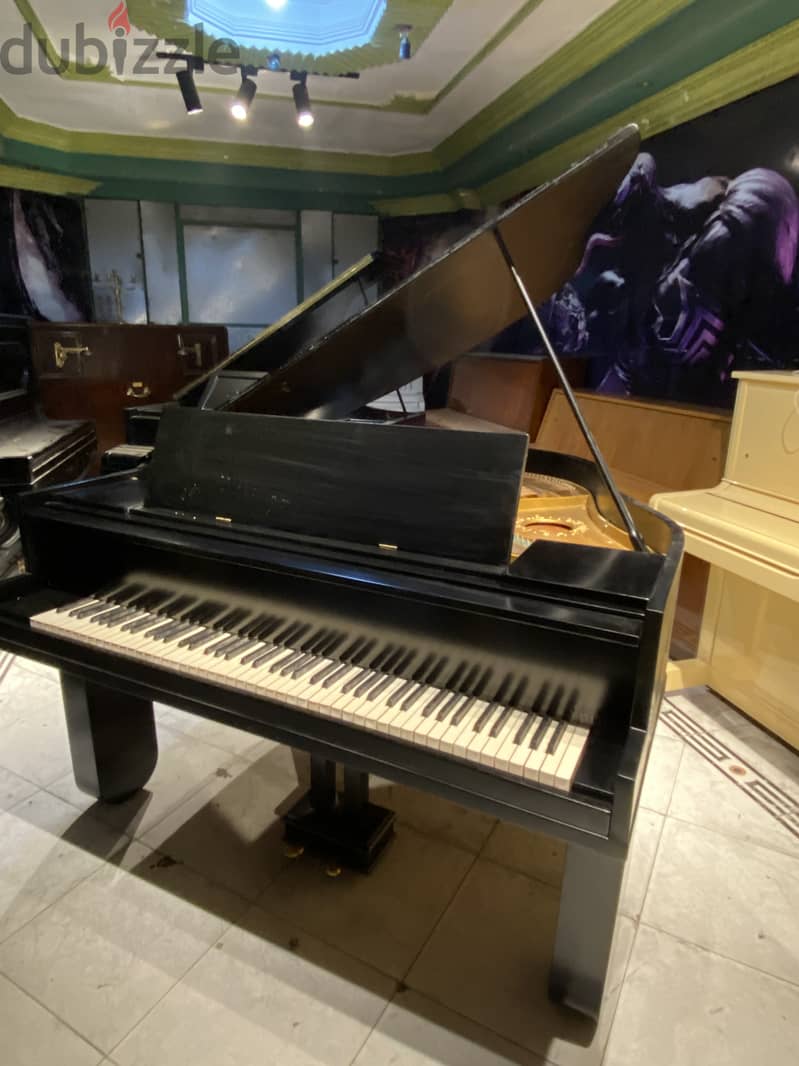 Professional grand piano 5