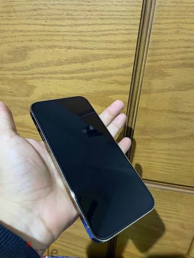 iphone 13 pro max 256gb