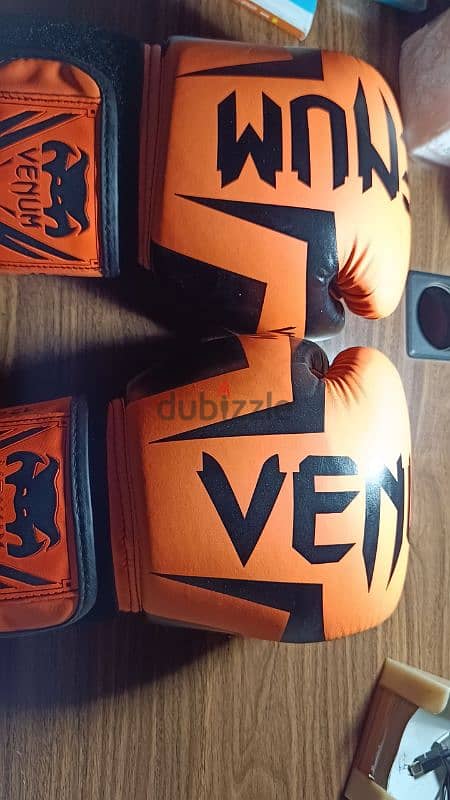 gloves boxing 1