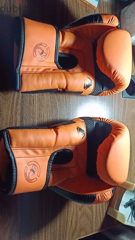 gloves boxing 2