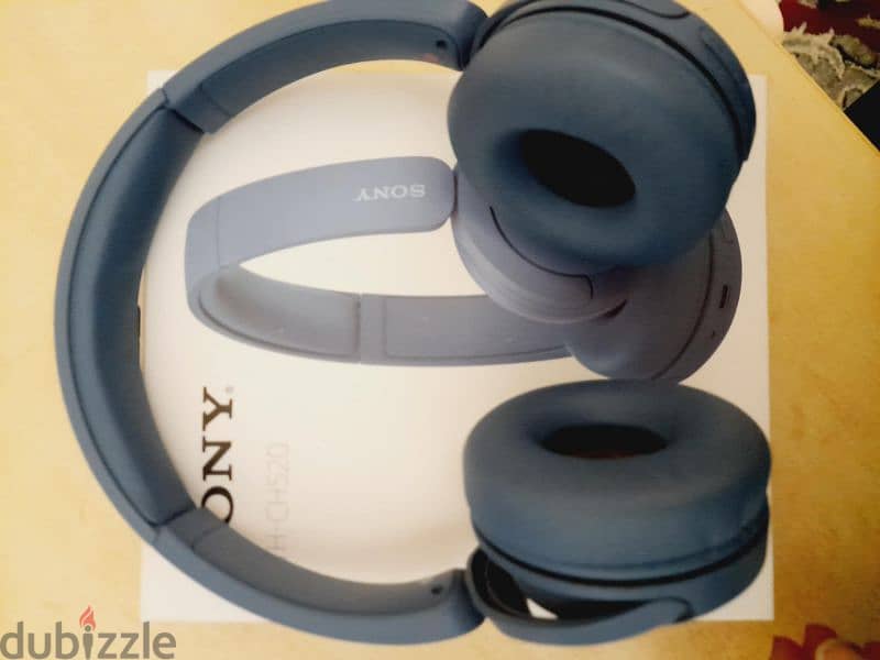 Sony wh ch520 2