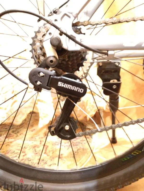 Speed Bicycle65586877189379121