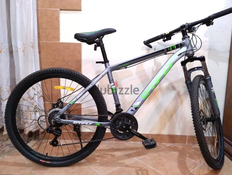 Speed Bicycle65586877189379124