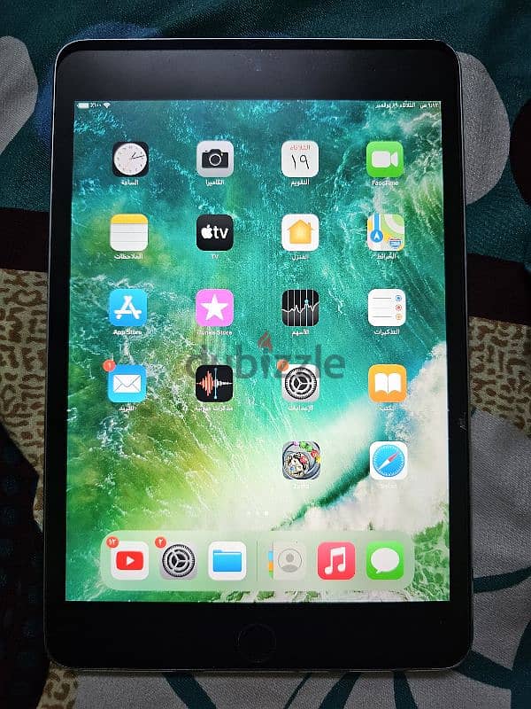 iPad mini 4 1