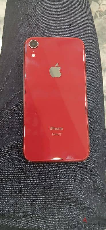 Iphone  XR 1