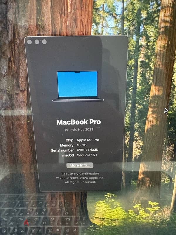 mac book pro M3 pro 2