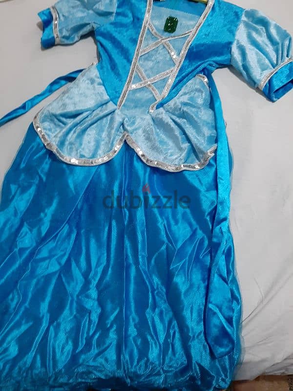 Frozen dresses for girls size 6-8 & 8-10 . used only once. 2