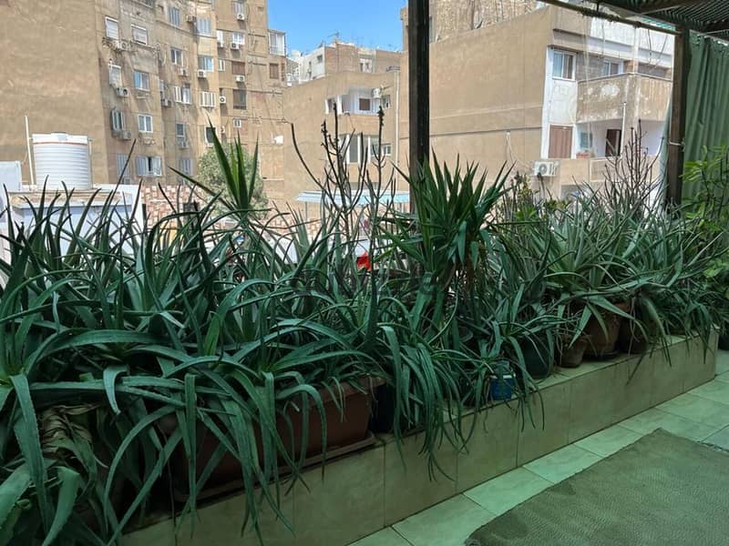 apartment for sale at zamalek | prime location | fully finished | prime location | 3 bedrooms | Ready to move 0