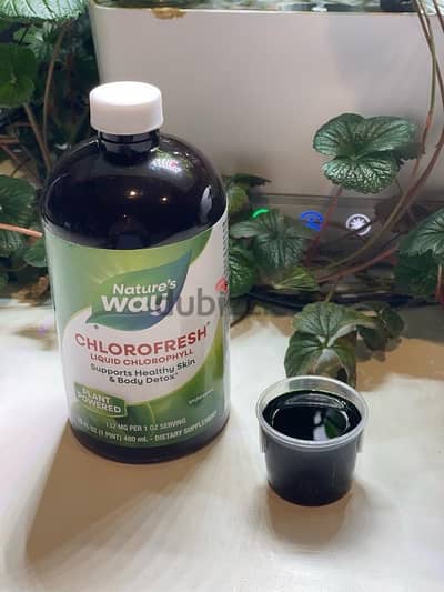 chlorophyll