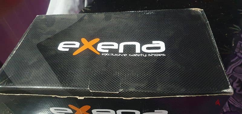 exena safety 2