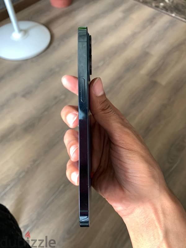 iPhone 12pro max خطين 0