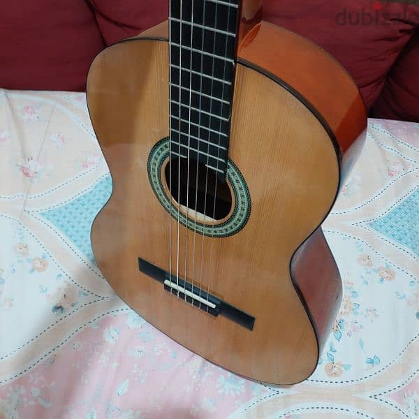 جيتار كلاسيك ibanez كالجديد 6