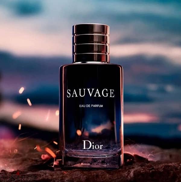 Brand:Dior 3