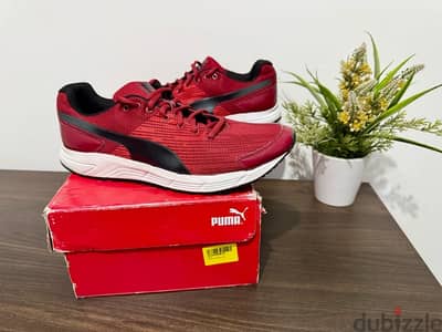 puma original size 43 new with box