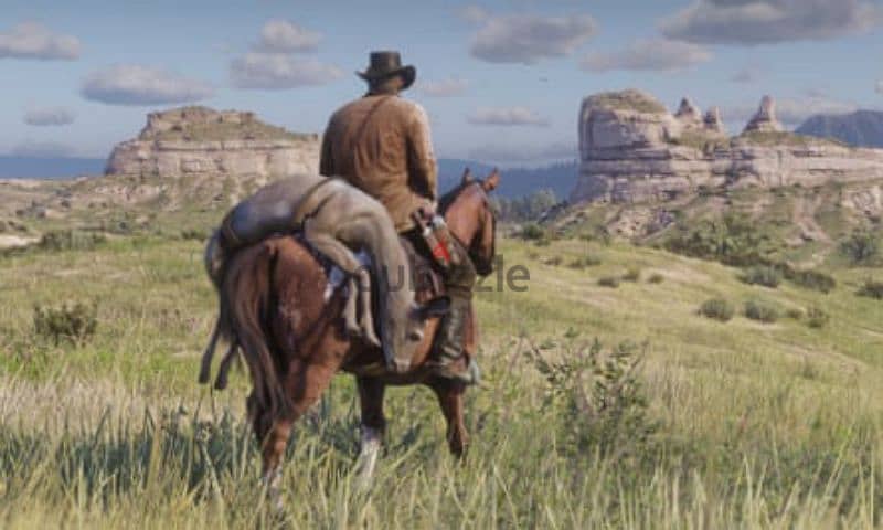 reddeadredemption2 full account 1