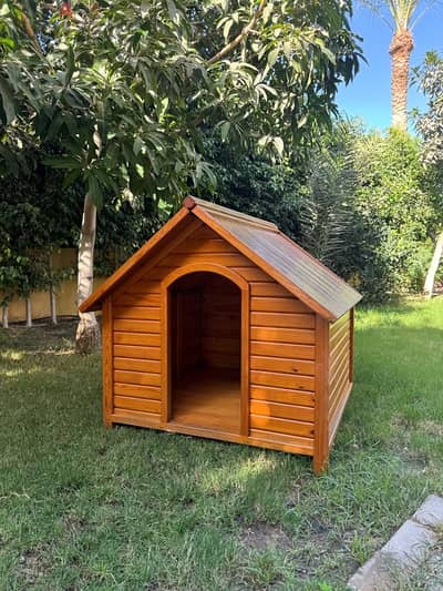 Dog House - Big Dog - Handmade Wood - بيت كلاب