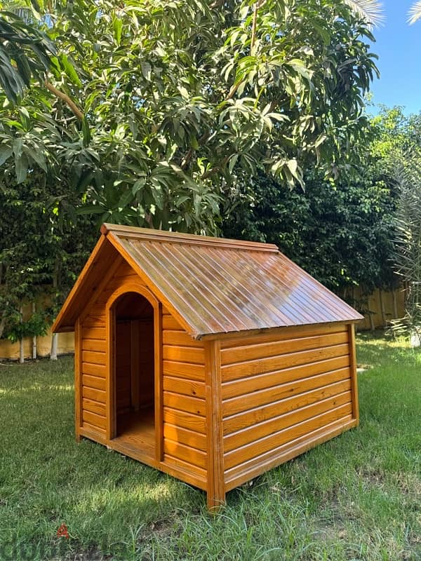 Dog House - Big Dog - Handmade Wood - بيت كلاب 3