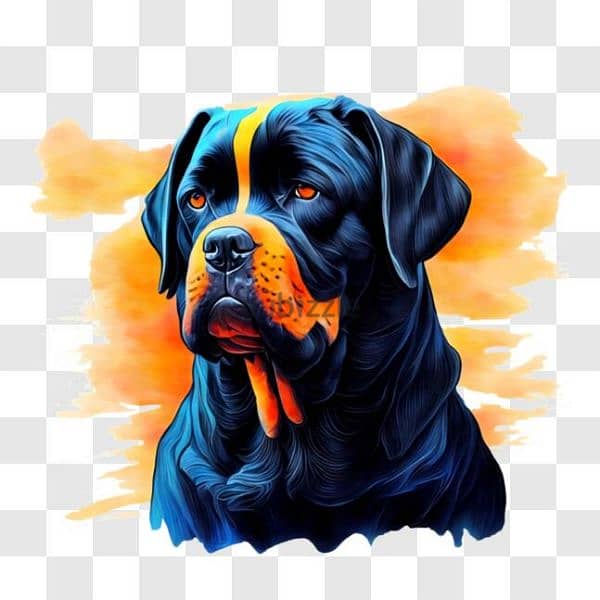 مـطـلوب ذڪر Rottweiler للزواج مـن Pit bull 3