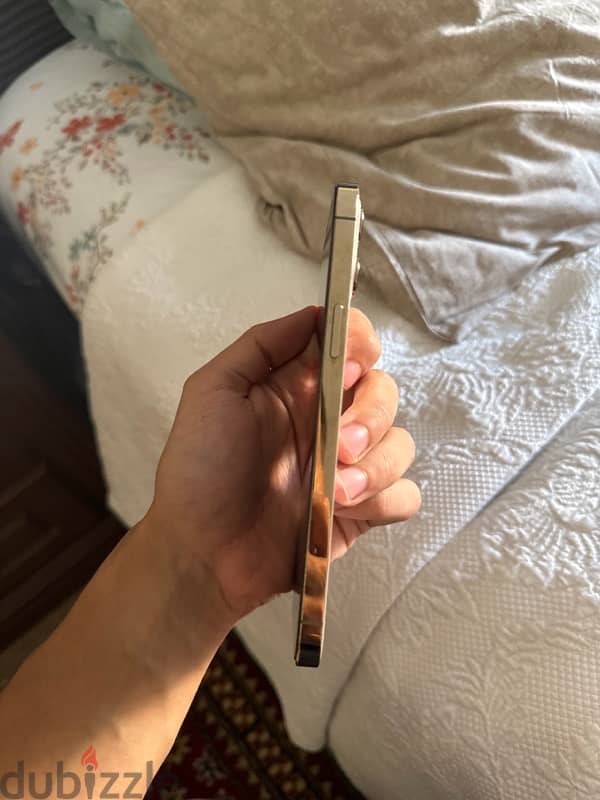 Gold IPhone 12 Pro Max 3