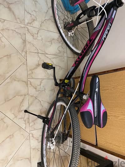 Trinx Nana bicycle 7-Speeds