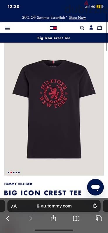 Tommy hilfiger big icon crest T-Shirt 1