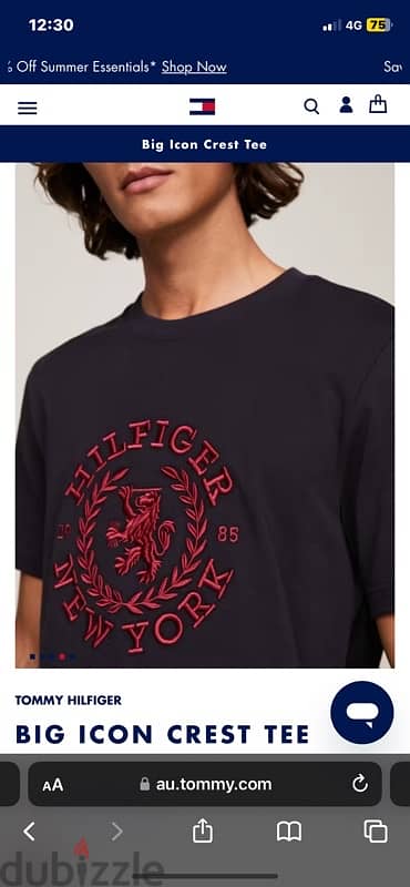 Tommy hilfiger big icon crest T-Shirt 2