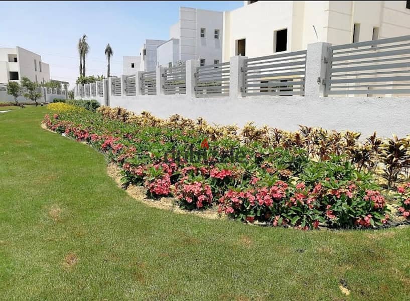 Immediate Delivery – 507 sqm Villa for Sale in Installments, Prime Location Opposite Galleria 40, Sheikh Zayed, at Cleopatra Square 0