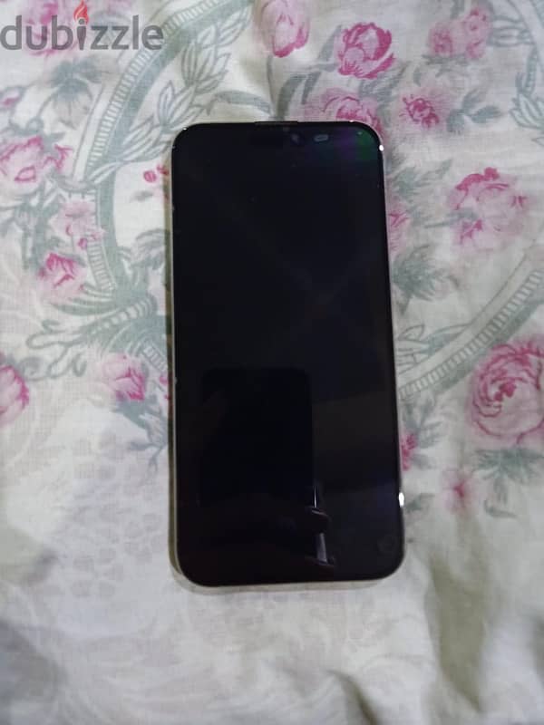 iphone 15 pro max 256g 100% 0