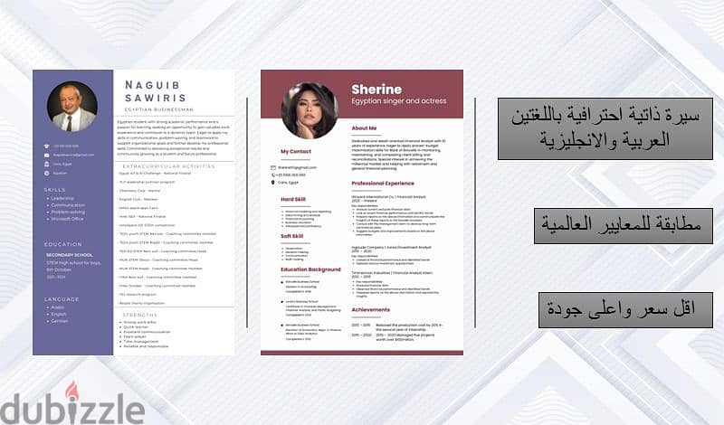 تصميم سيرة ذاتية (CV - Resume) احترافية باللغتين العربي و الانجليزي 0