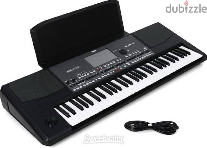 Korg Pa600Q 0