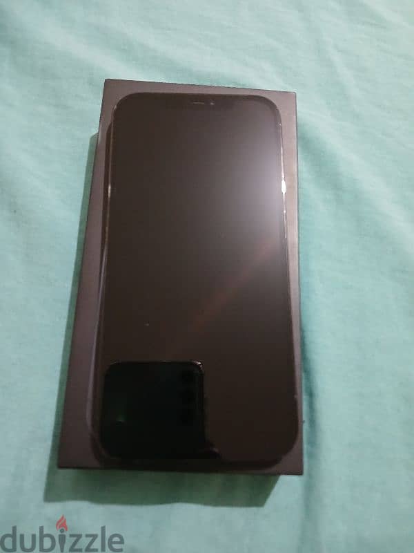 iPhone 12 Pro Max 6