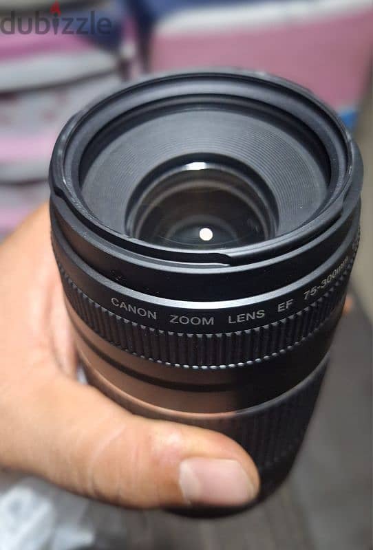 Canon  EF75-300mm F/4-5.6 III lens 3