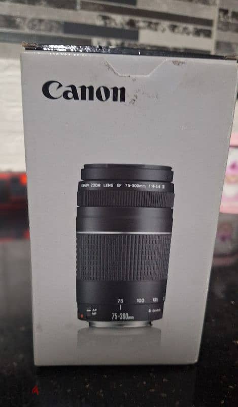 Canon  EF75-300mm F/4-5.6 III lens 5