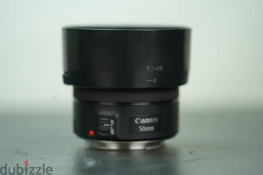 Canon 5d mark ii with canon 50 mm stm lens 10