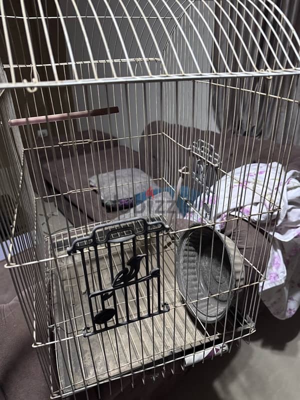 bed cage 1