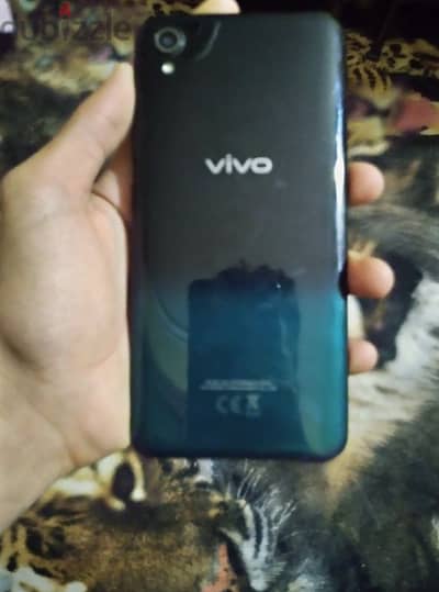 VIVO