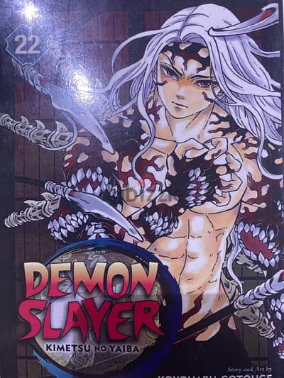 demon slayer manga