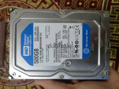 Hard Disk 500GB western digital