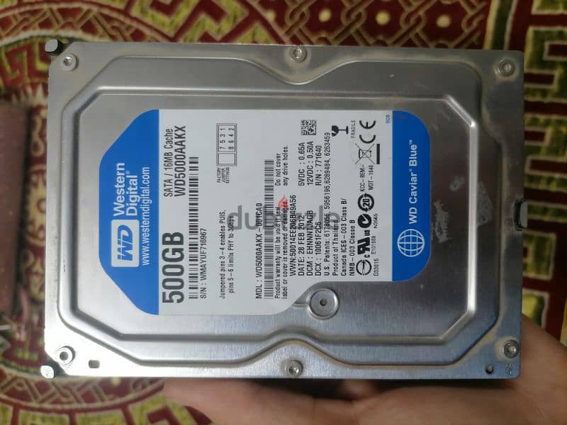 Hard Disk 500GB western digital 0