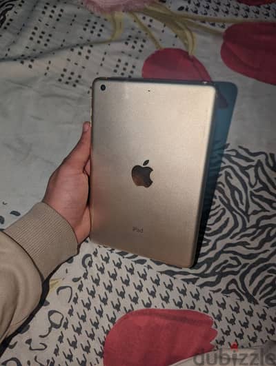 ipad mini3